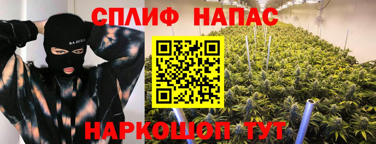 Канабис White Widow Коломна